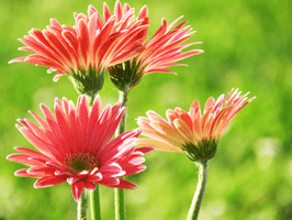 若手が辞めずに育つ人材育成